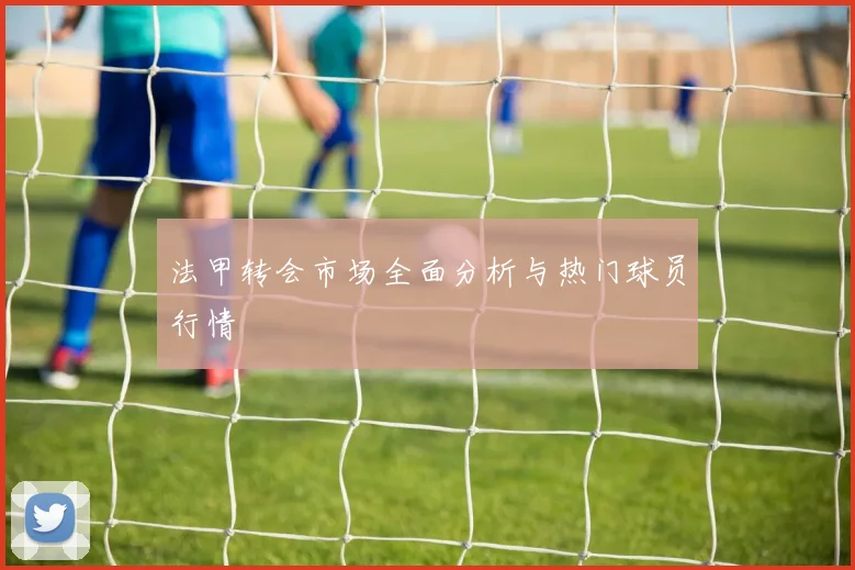 法甲转会市场全面分析与热门球员行情