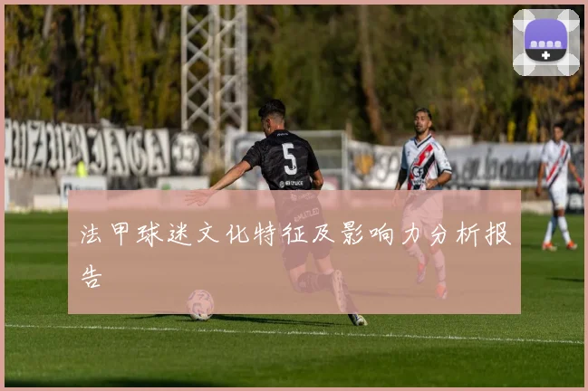 法甲球迷文化特征及影响力分析报告