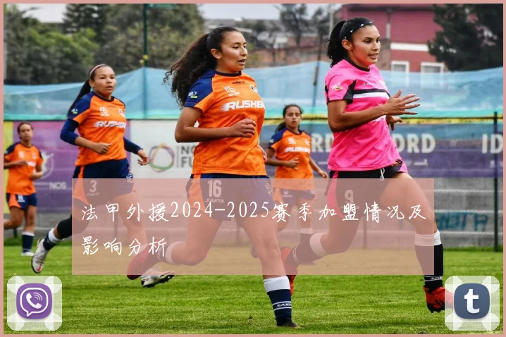 法甲外援2024-2025赛季加盟情况及影响分析