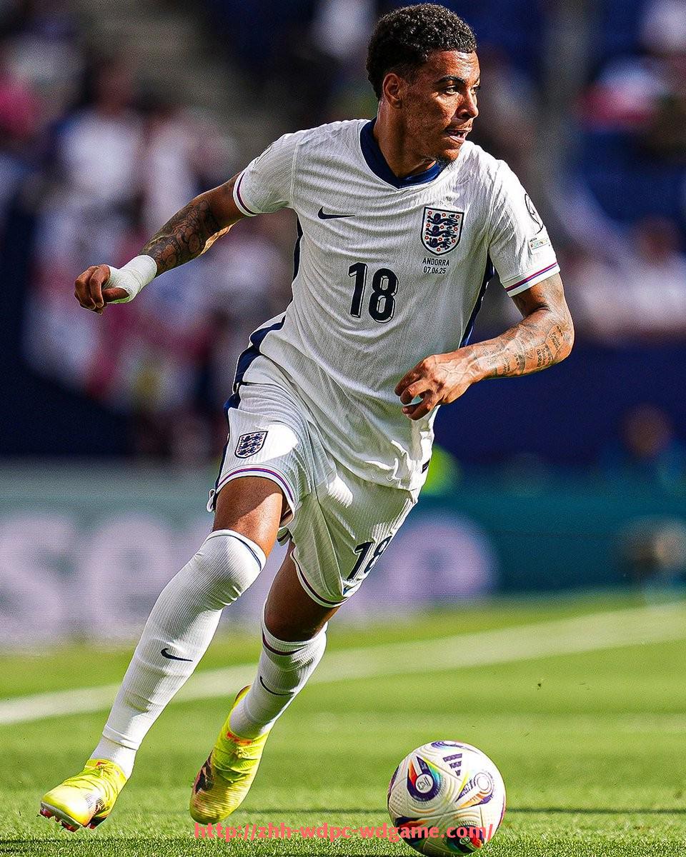 问鼎娱乐官方网站-NBA新浪网手机版页面导航与比分资讯查阅技巧